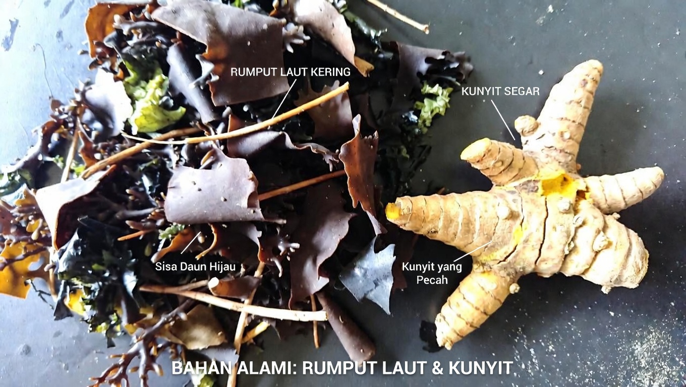 Cara Sederhana Mendukung Kesehatan Tiroid Anda Melalui Kebiasaan Sehari-hari dan Pilihan Makanan