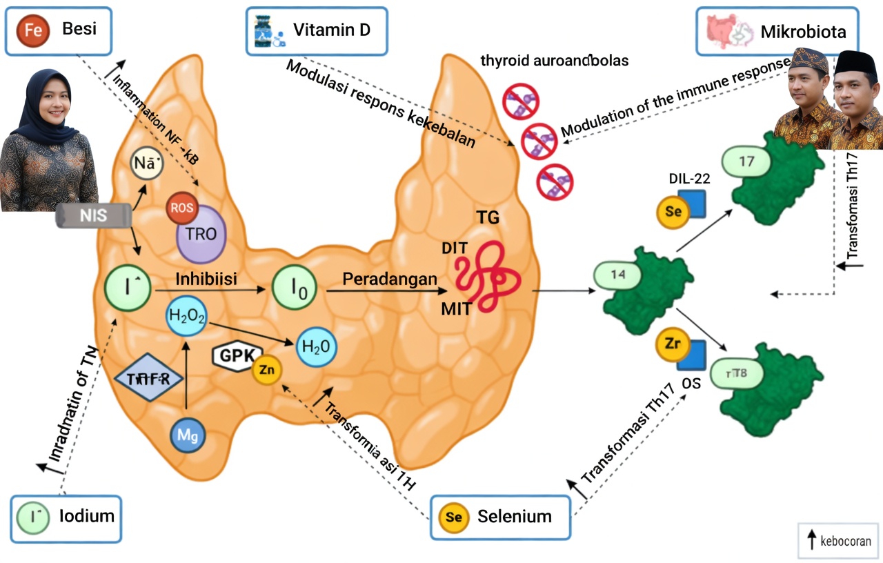 Mengeksplorasi Peran Dua Mineral Utama dalam Mendukung Kesehatan Tiroid