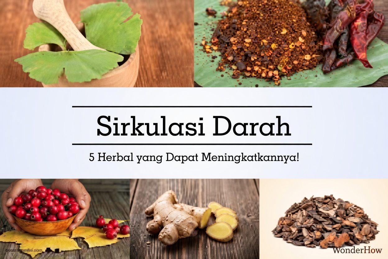 Temukan 5 Herbal Alami Terbaik Sehari-hari untuk Mendukung Sirkulasi Darah yang Sehat dan Lancar di Kaki Anda