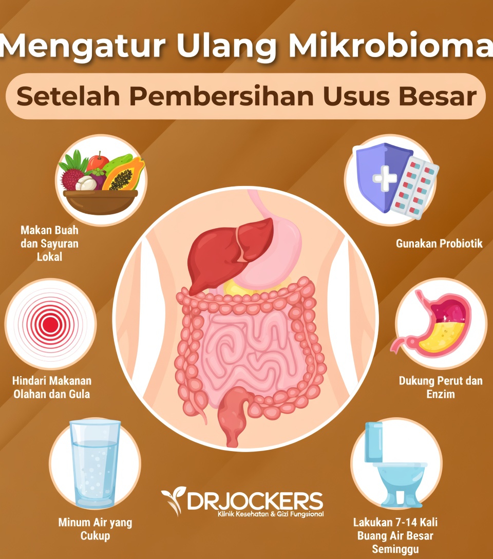 Mengapa Kesehatan Usus Besar Penting untuk Kesehatan Sehari-hari