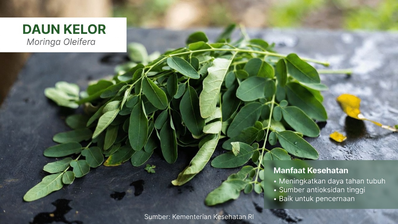 Apakah Menambahkan Daun Kelor ke Rutinitas Harian Anda Dapat Mendukung Kesehatan Ginjal dan Kesehatan Tubuh Secara Keseluruhan?