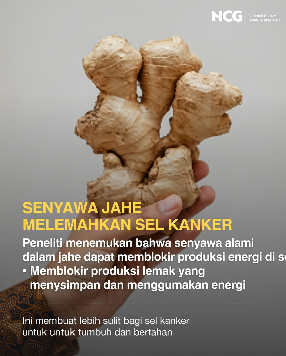 Apa yang Diungkapkan Penelitian Terbaru Tentang Potensi Interaksi Jahe dengan Sel Punca Kanker dalam Studi Laboratorium?