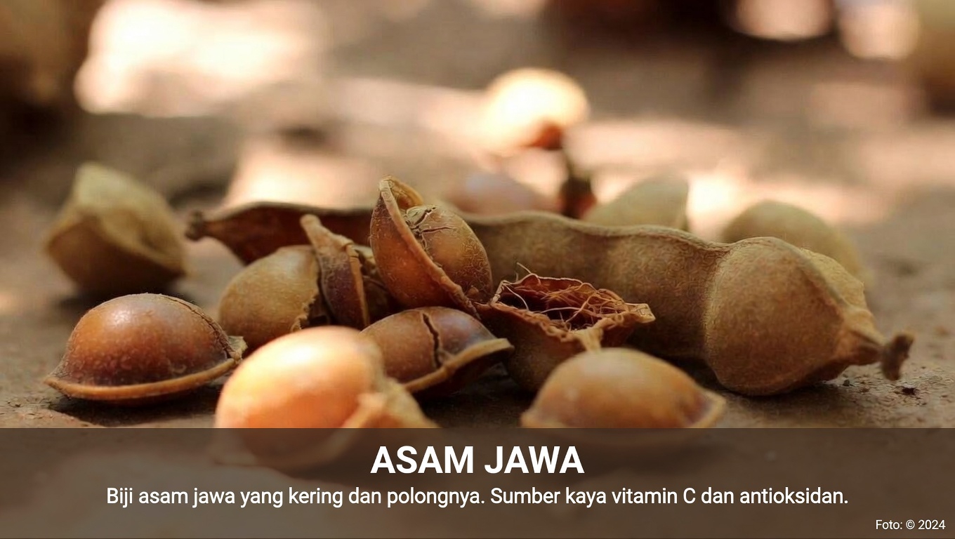 Bisakah Biji Asam Jawa Membantu Tubuh Anda Mengatasi Mikroplastik? Inilah yang Ditunjukkan oleh Penelitian Awal