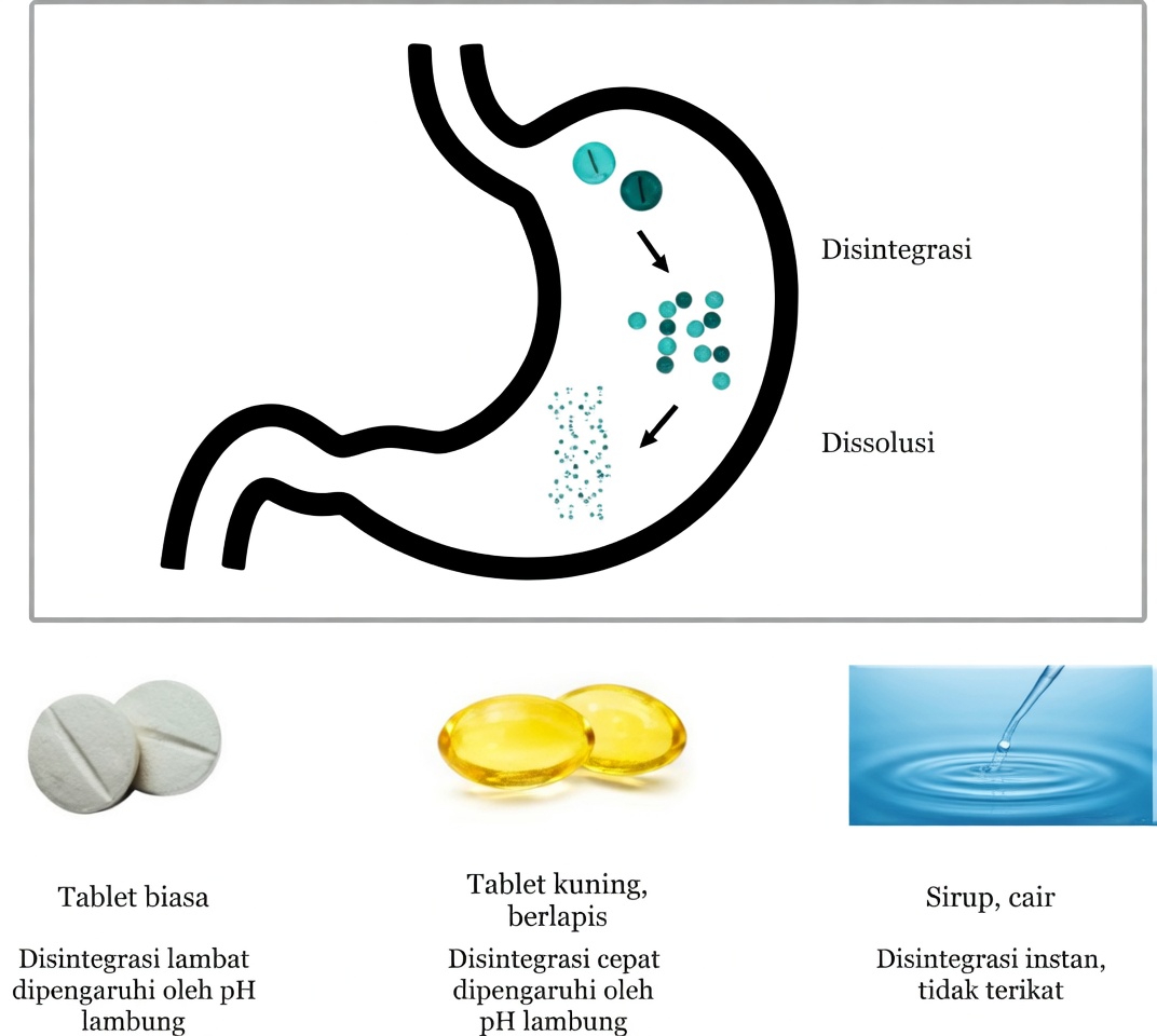 Apakah Anda Mengonsumsi Levothyroxine dengan Cara yang Salah Setiap Pagi? Kebiasaan yang Sering Diabaikan Banyak Pasien
