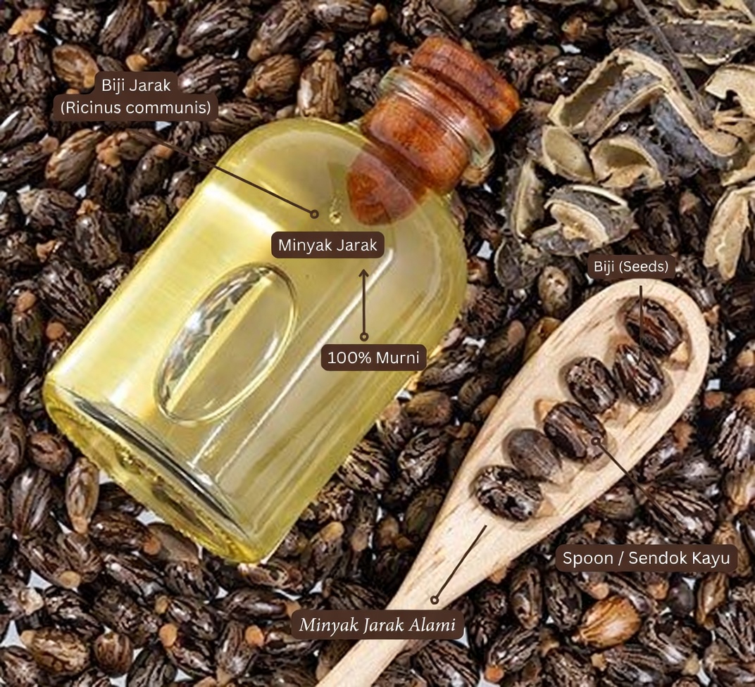 Bisakah 2 Tetes Minyak Jarak dan Madu Membantu Wanita Setelah Usia 50?