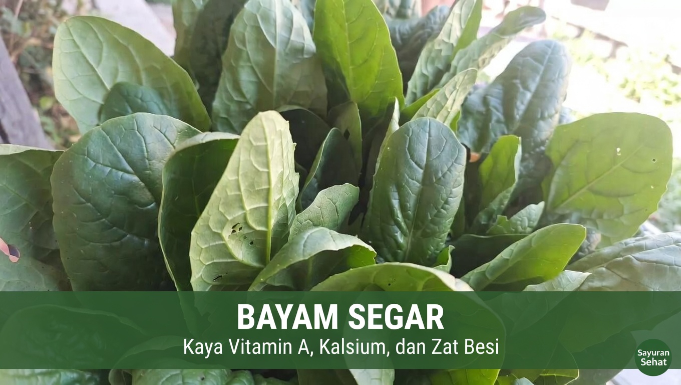 Apa Peran Vitamin K dalam Tubuh Anda?