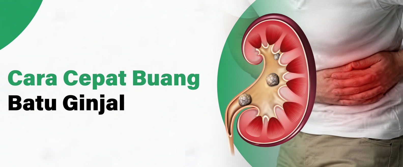 Temukan 7 Cara Alami untuk Mendukung Ginjal Anda dan Meningkatkan Fungsi yang Sehat Secara Alami Setiap Hari