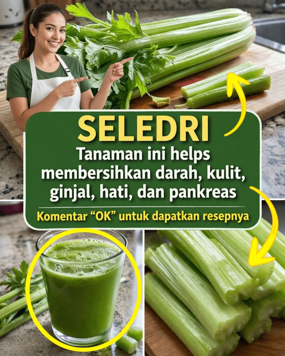 Bagaimana Seledri Dapat Menjadi Bagian dari Rutinitas Kebugaran Anda: Resep Jus Mudah dan Tips Praktis untuk Dicoba Hari Ini