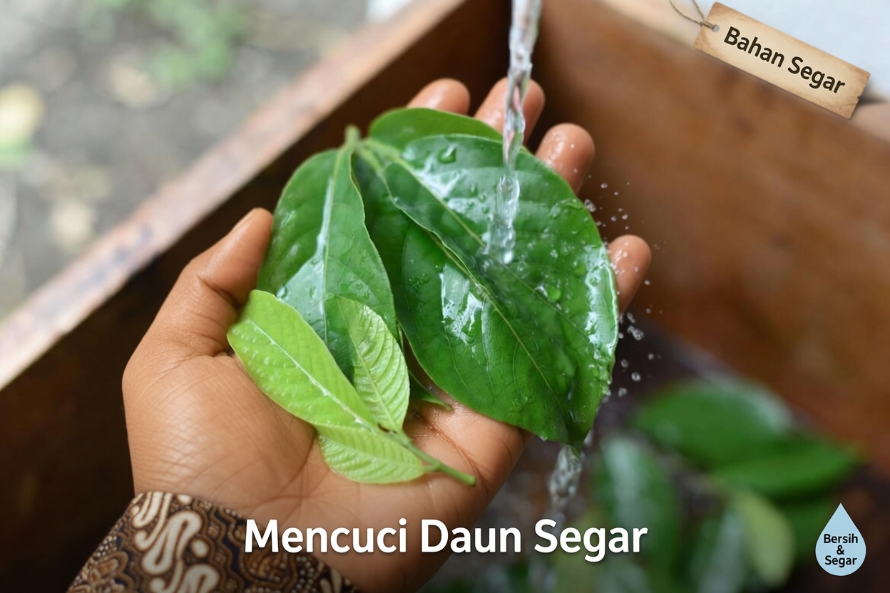 Menjelajahi Daun dan Buah Jambu Biji untuk Kesehatan Mata Sehari-hari