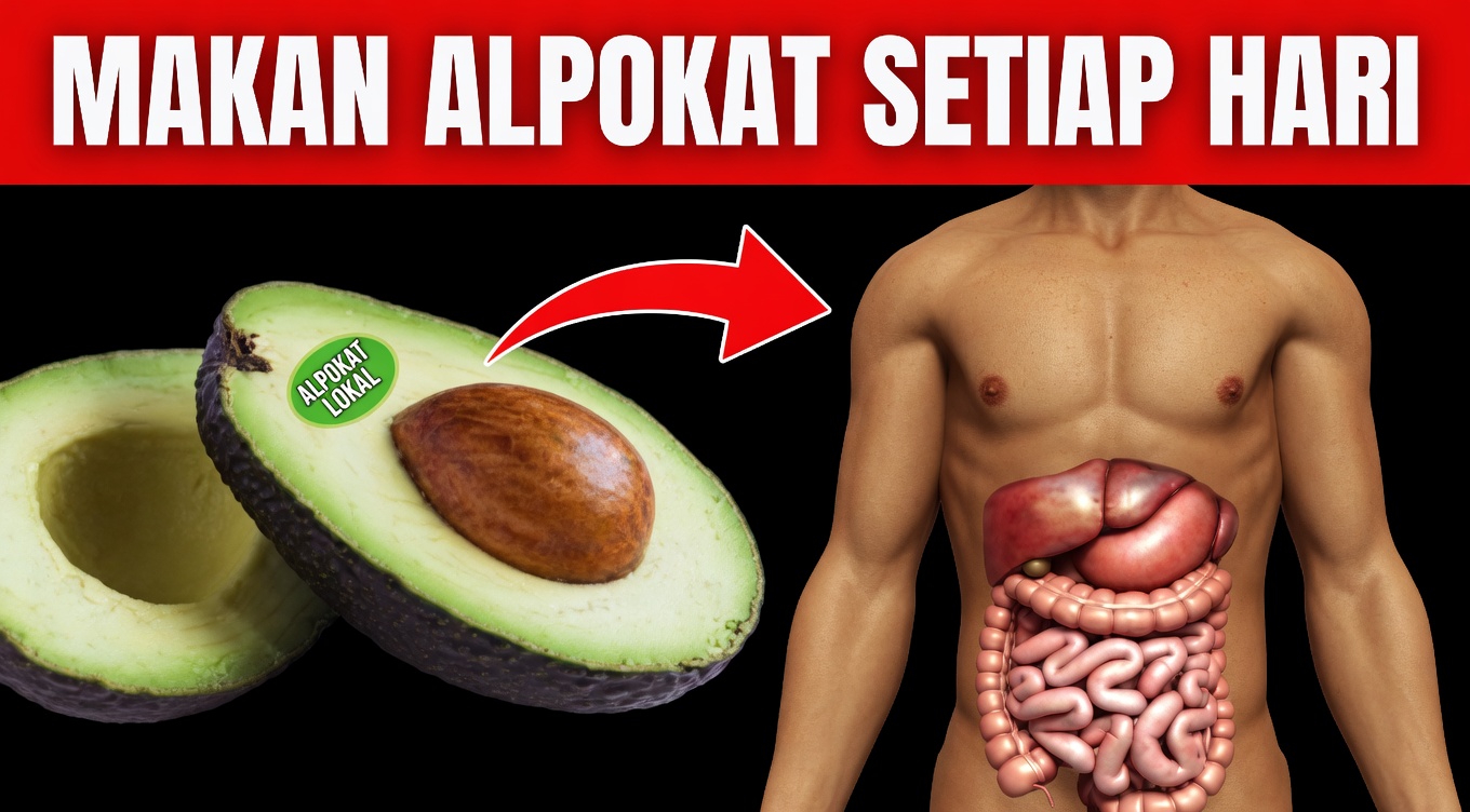 Sudahkah Anda Mencoba Teh Biji Alpukat untuk Mendukung Kesehatan Sehari-hari?