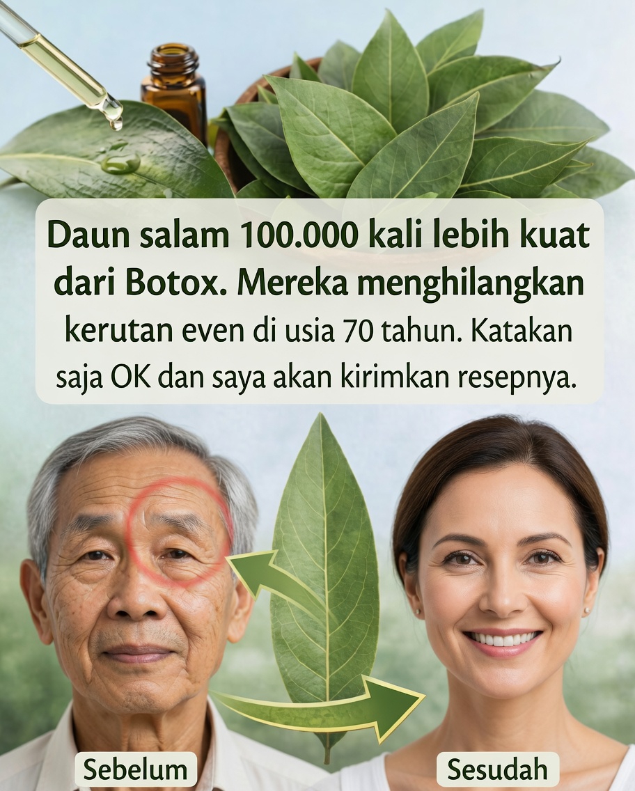 Daun salam melawan keriput: obat alami yang semakin memikat banyak orang 🌿