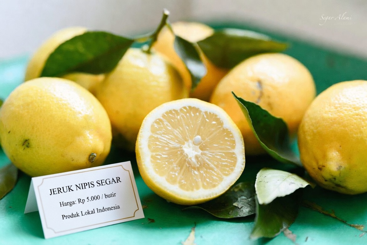 Temukan 10 Kebiasaan Alami Harian untuk Mendukung Sirkulasi Darah yang Lebih Baik dan Meminimalkan Tampilan Urat di Kaki