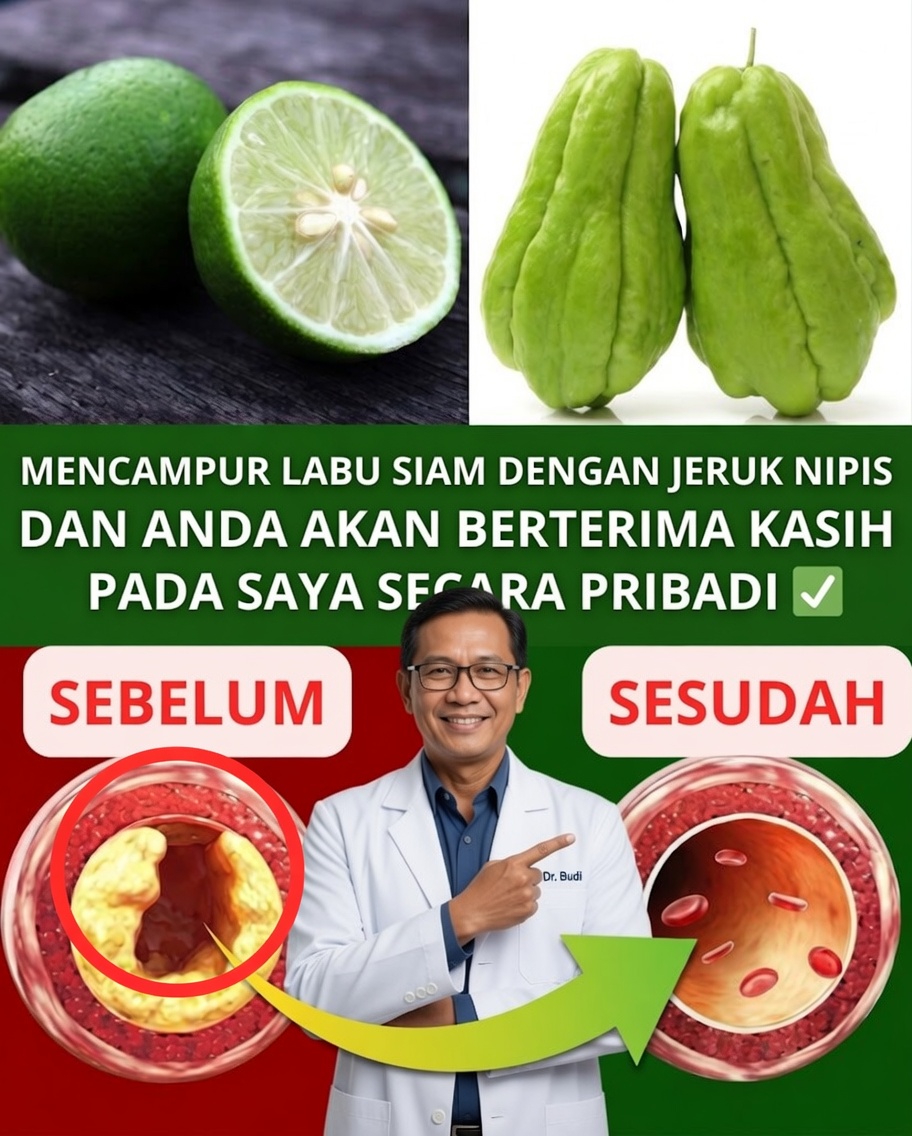 🌿 Labu siam: sekutu alami untuk sirkulasi, anemia, dan kesehatan secara keseluruhan