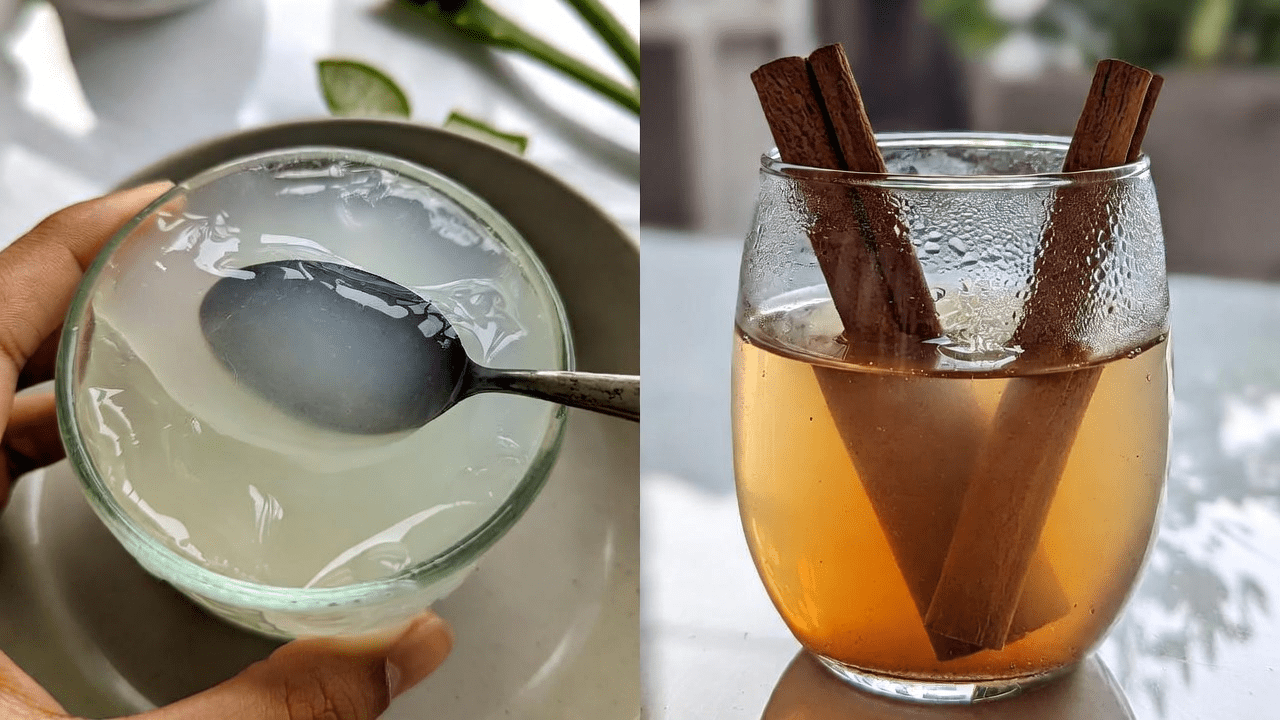 Lidah Buaya dan Kayu Manis: Menjelajahi Bahan-Bahan Alami untuk Kesehatan dan Dukungan Mata