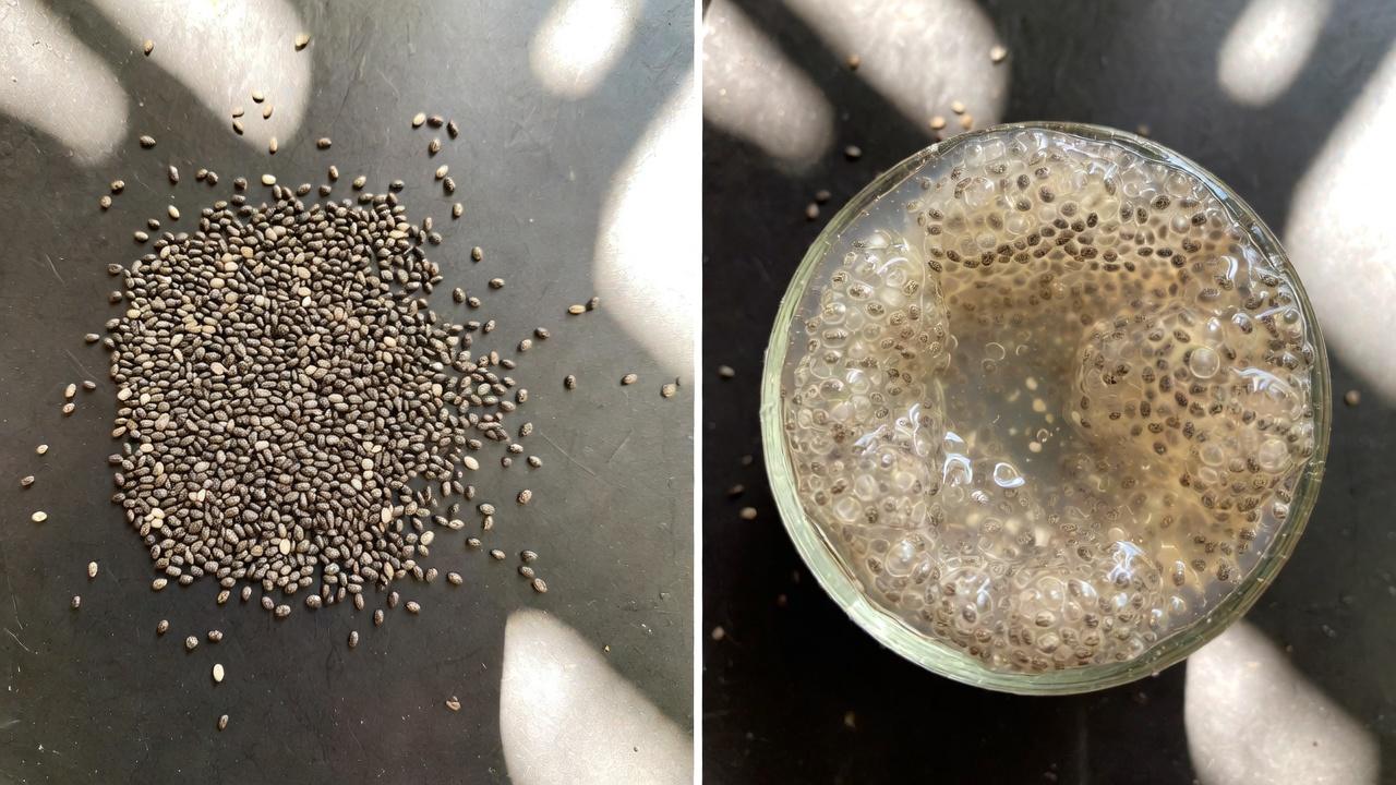 Mengapa Kesehatan Usus Besar Penting untuk Kenyamanan Sehari-hari