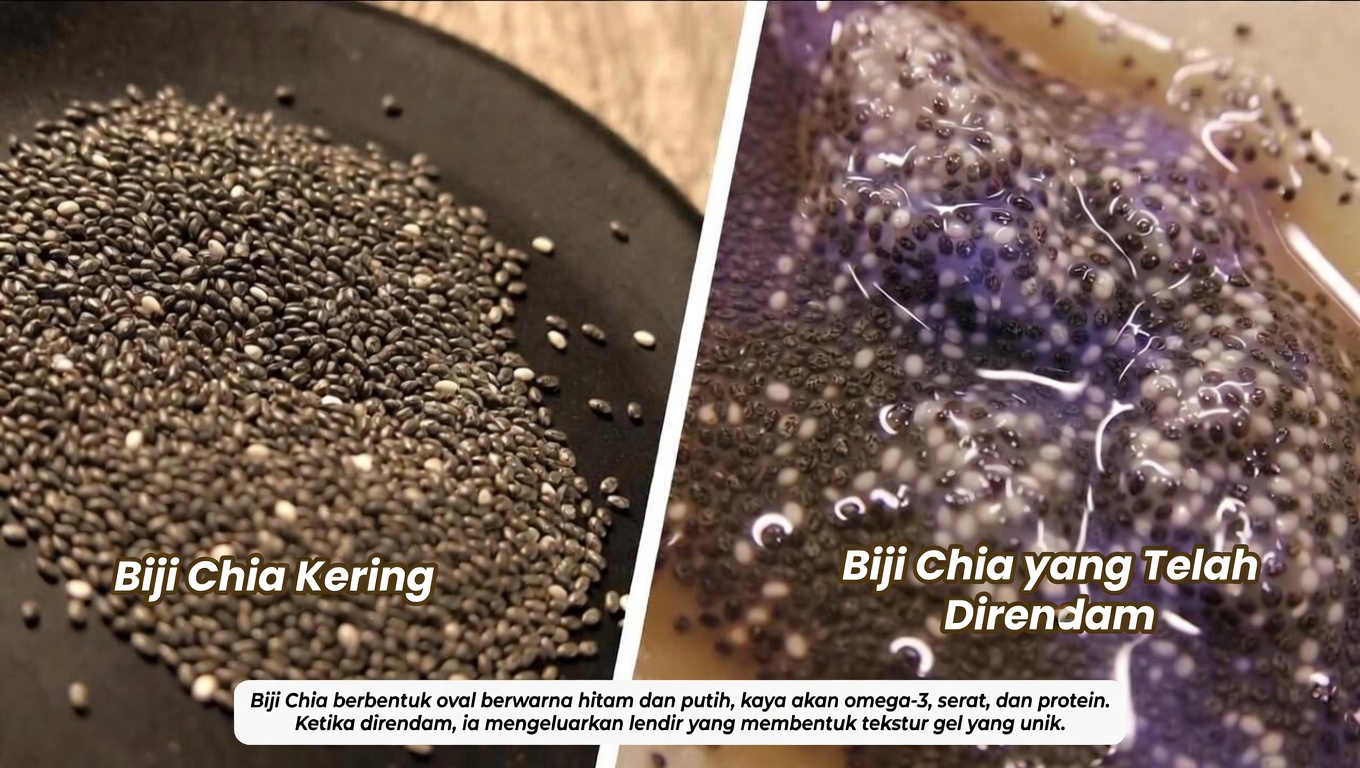 Mengapa Kesehatan Usus Besar Penting untuk Kenyamanan Sehari-hari