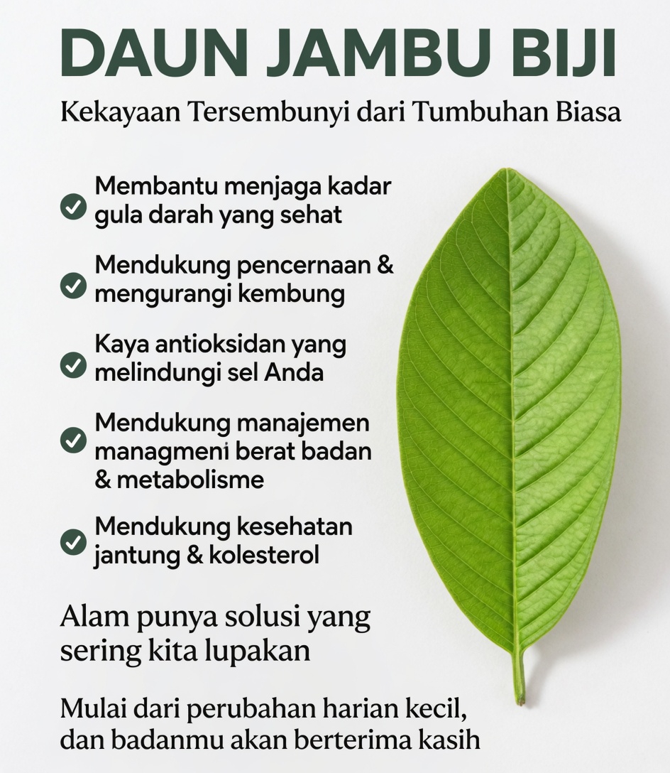Menemukan Kebiasaan Pagi yang Sederhana: Teh Daun Jambu Biji dan Potensi Perannya dalam Mendukung Gula Darah Harian