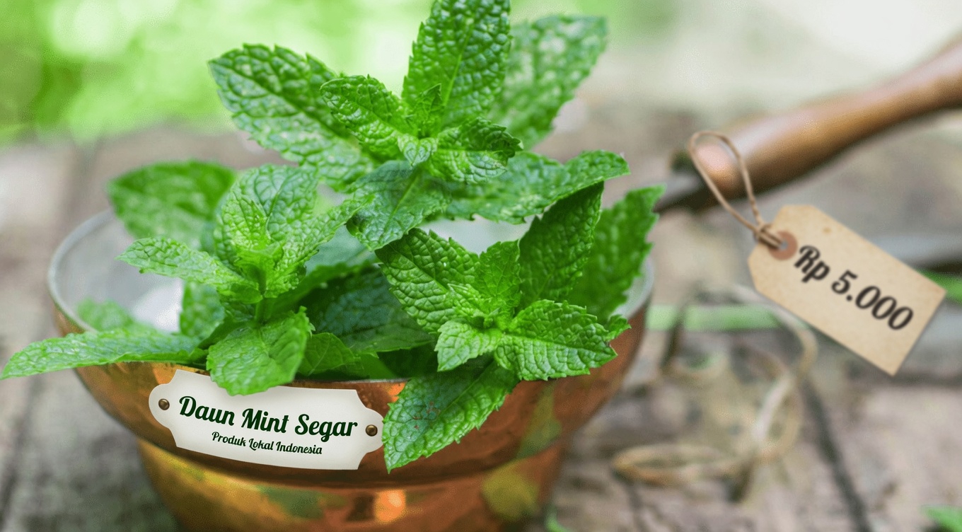 Pencuri Senyap: Cara Alami Menjaga Kesehatan Arteri Anda Tanpa Obat-obatan