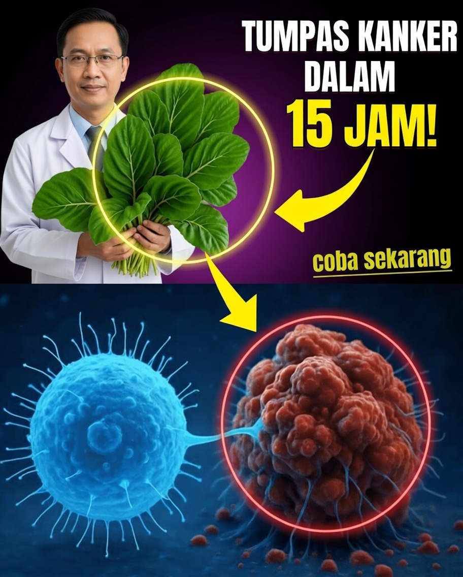 6 kebiasaan sehari-hari untuk melindungi ginjal Anda (mulai hari ini)