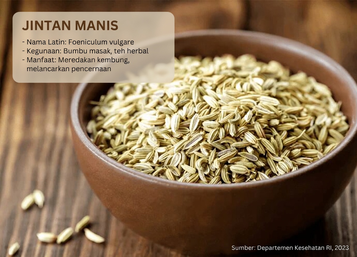 Manfaat Ampuh Kapulaga di Luar Dapur: 18 Kegunaan Tersembunyi yang Bisa Mengubah Kesehatan Anda Selamanya