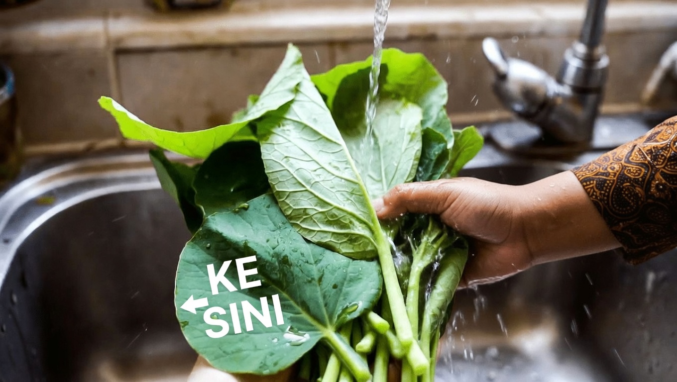 Temukan Bagaimana Ramuan Sederhana Sehari-hari Dapat Mendukung Penglihatan yang Nyaman dan Jelas Secara Alami