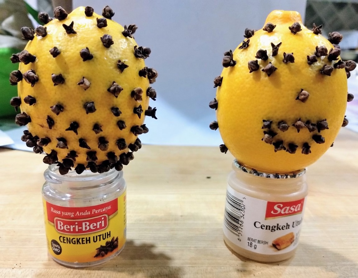 Temukan Kombinasi Alami untuk Kesehatan di Rumah