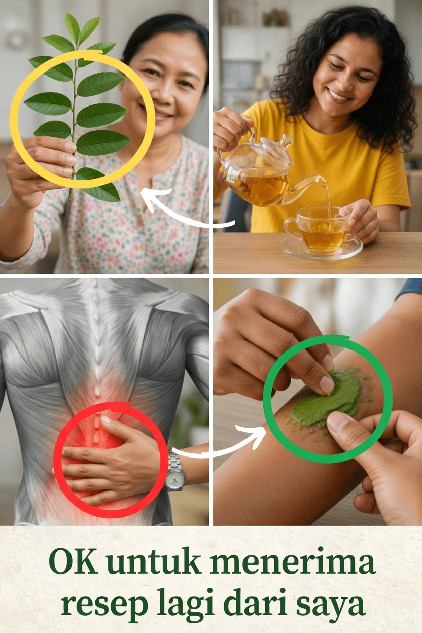 Daun Jambu Biji untuk Kesehatan Tulang dan Sendi: Resep Mudah dan Tips untuk Dicoba di Rumah Hari Ini