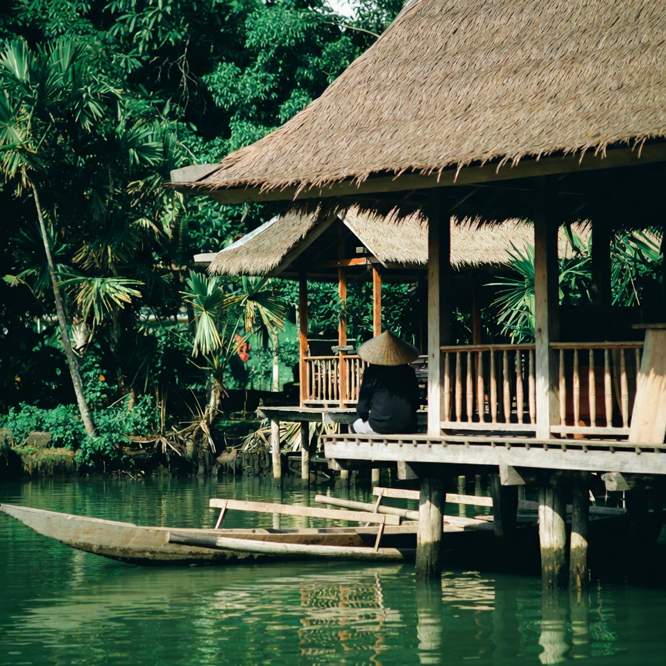 Tanaman yang menjauhkan pasien dari dokter mata