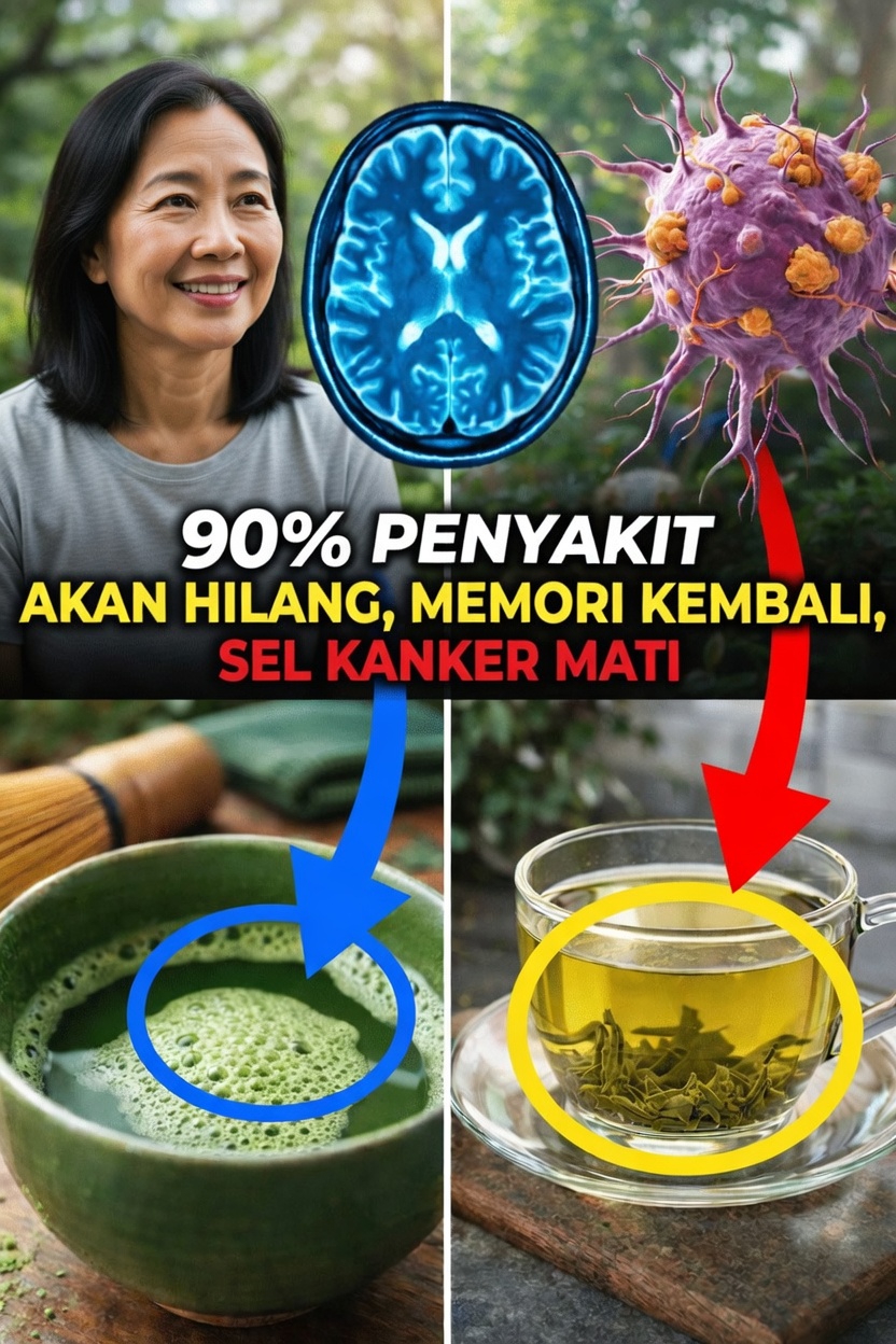 5 Makanan Lezat yang Mendukung Kesehatan Otak Seiring Bertambahnya Usia: Kebiasaan Sederhana untuk Dicoba Hari Ini