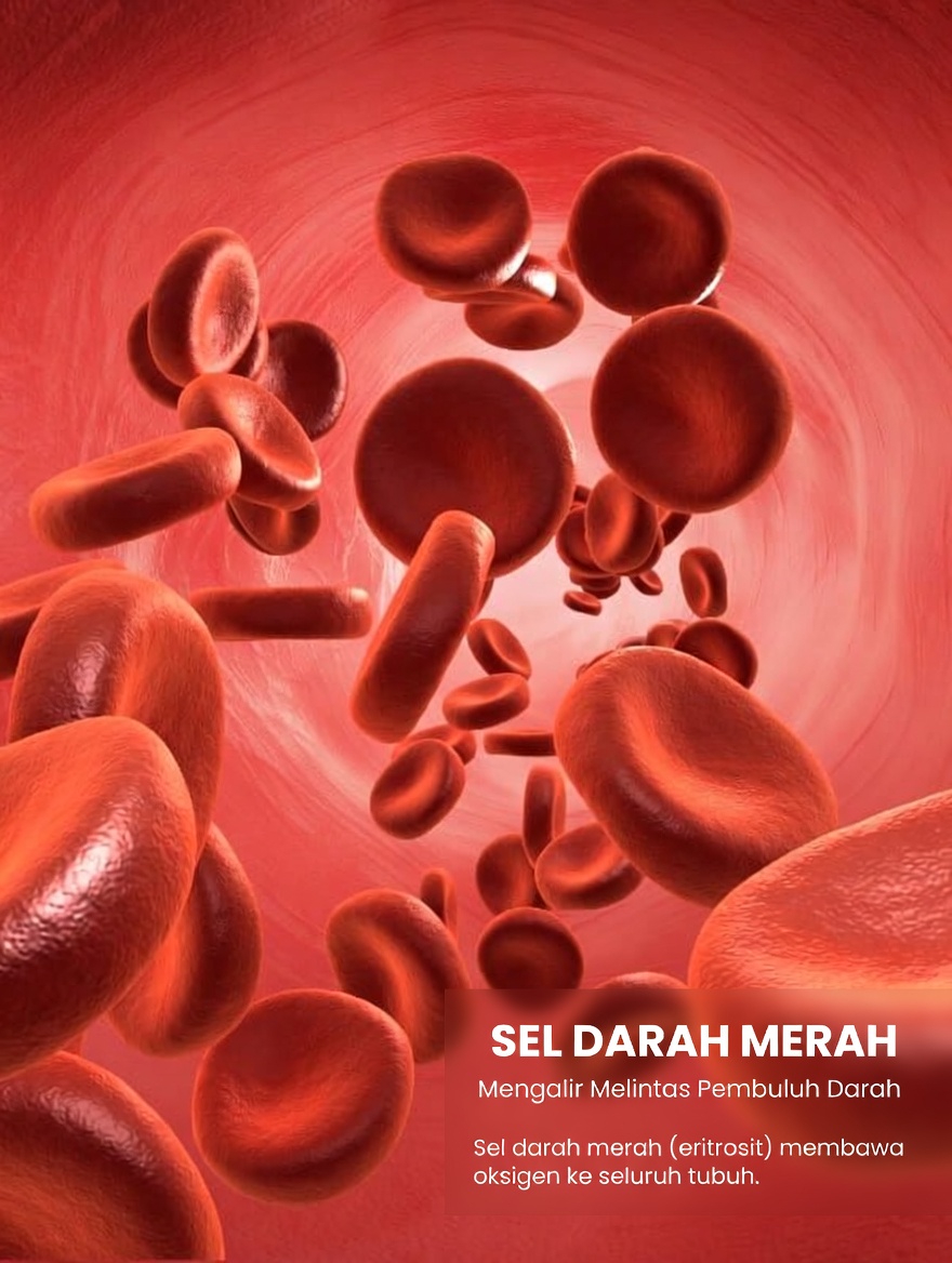 Satu Cangkir untuk Penglihatan yang Lebih Baik: Manfaat Kesehatan Jus Wortel dan Bit untuk Penglihatan Mata