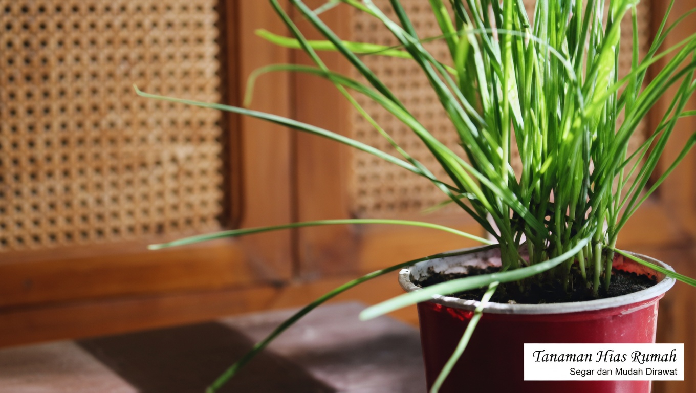 Gulma atau Keajaiban? Temukan Harta Tersembunyi dalam 4 Tanaman Umum Ini