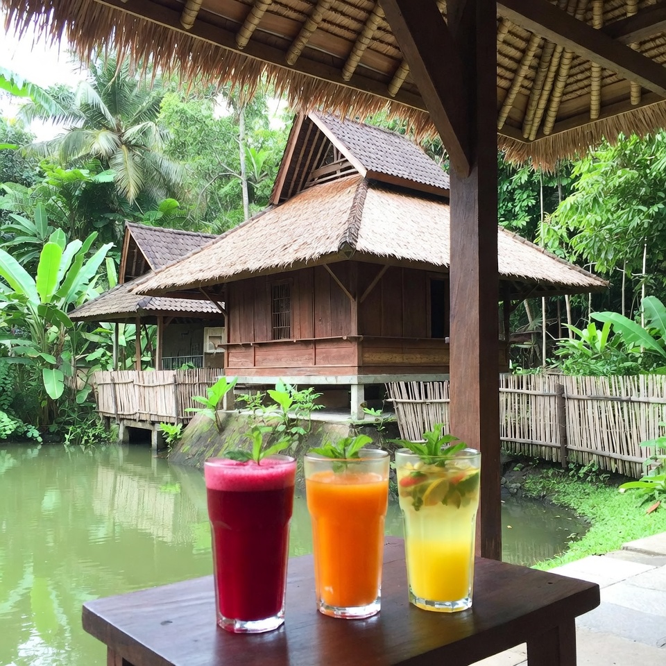 Jus Bit, Jeruk, dan Lemon: Obat Alami untuk 17 Masalah Kesehatan