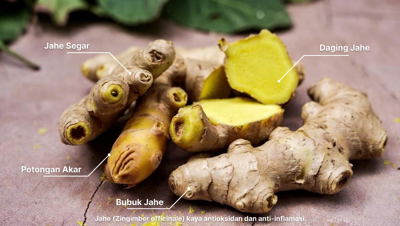 Jahe sehat bagi kebanyakan orang — tetapi tidak untuk semua orang