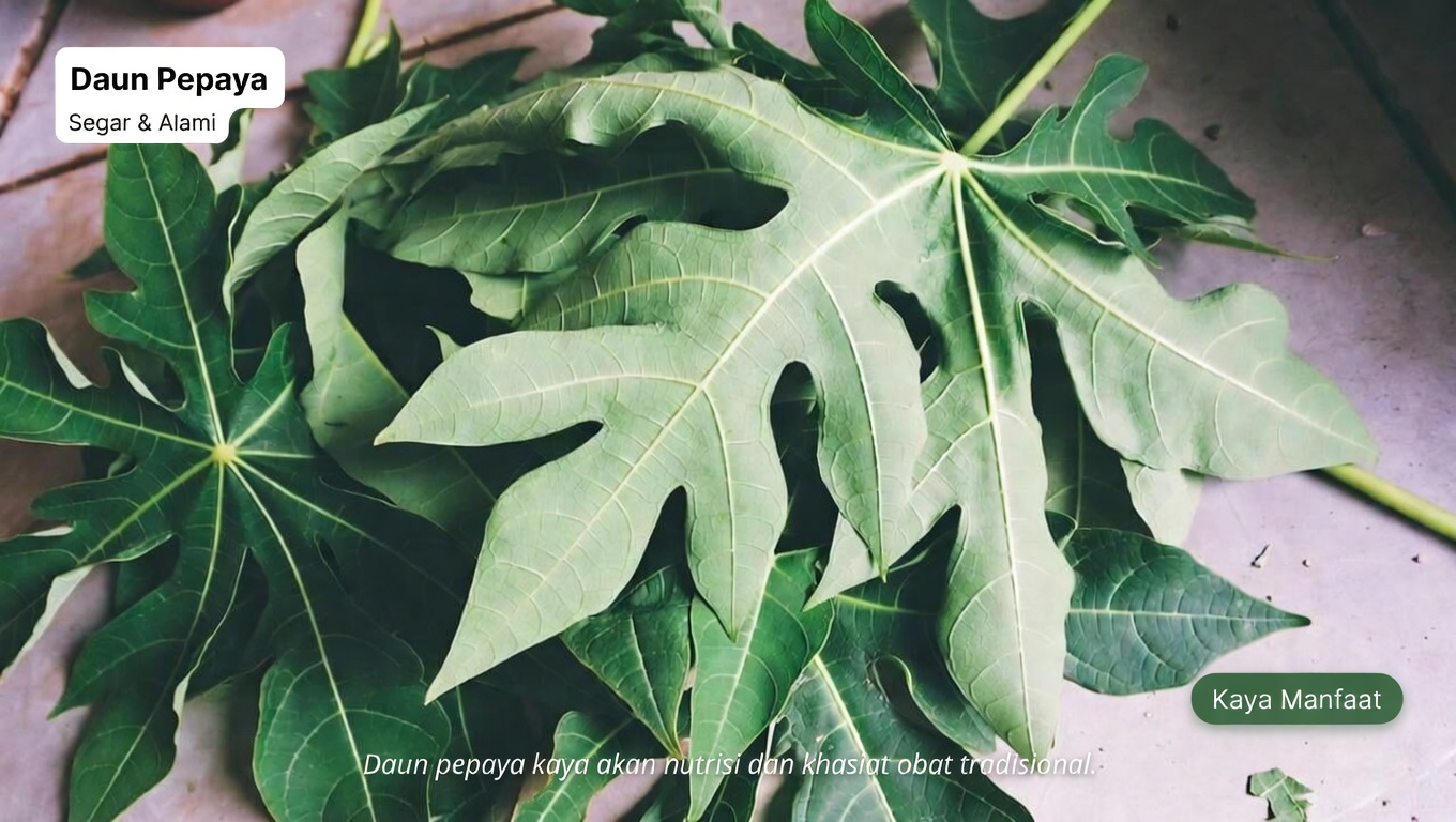 Menjelajahi Potensi Daun Pepaya untuk Perawatan Rambut: Pilihan Alami yang Patut Dipertimbangkan