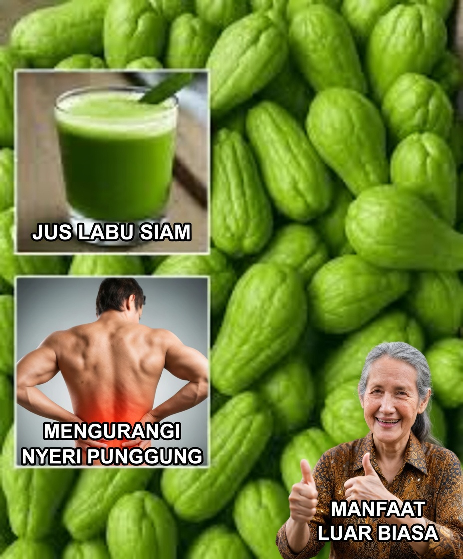 Labu Siam: Tambahan Sederhana untuk Rutinitas Harian Anda demi Kesehatan dan Vitalitas yang Lebih Baik