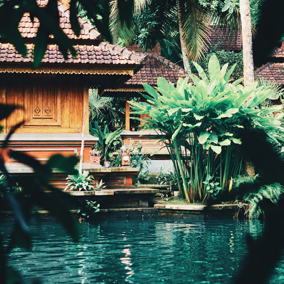 Tingkatkan Energi Anda Secara Alami dengan Campuran Ampuh Ini