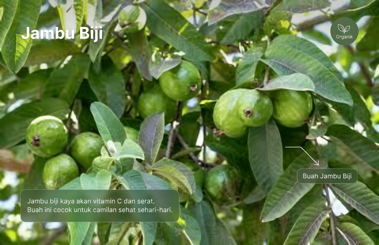 Menjelajahi Potensi Teh Daun Jambu Biji untuk Mendukung Kesehatan Jantung