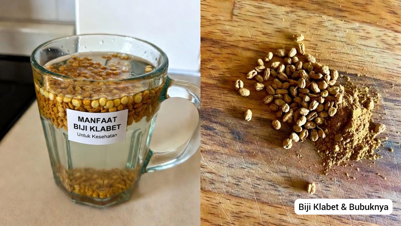 Kanker Membenci 6 Biji Ini: Lawan Kanker Secara Alami