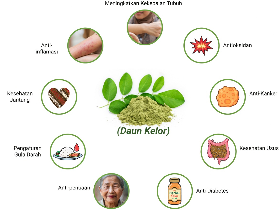 Apa Saja Potensi Manfaat Gizi dari Biji Kelor? Tinjauan Lebih Dekat terhadap Superfood Padat Nutrisi Ini