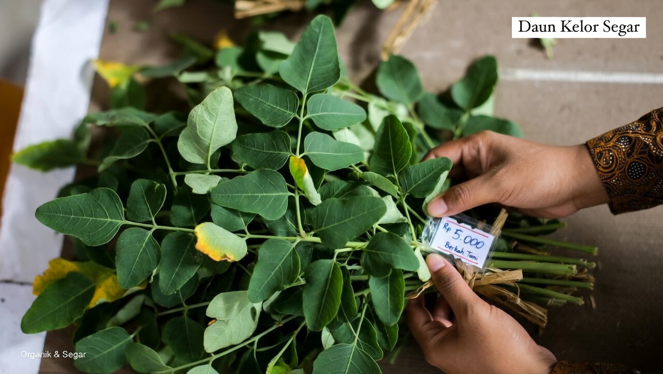 Tiga Daun Padat Nutrisi yang Mungkin Mendukung Pertahanan Alami Tubuh Anda