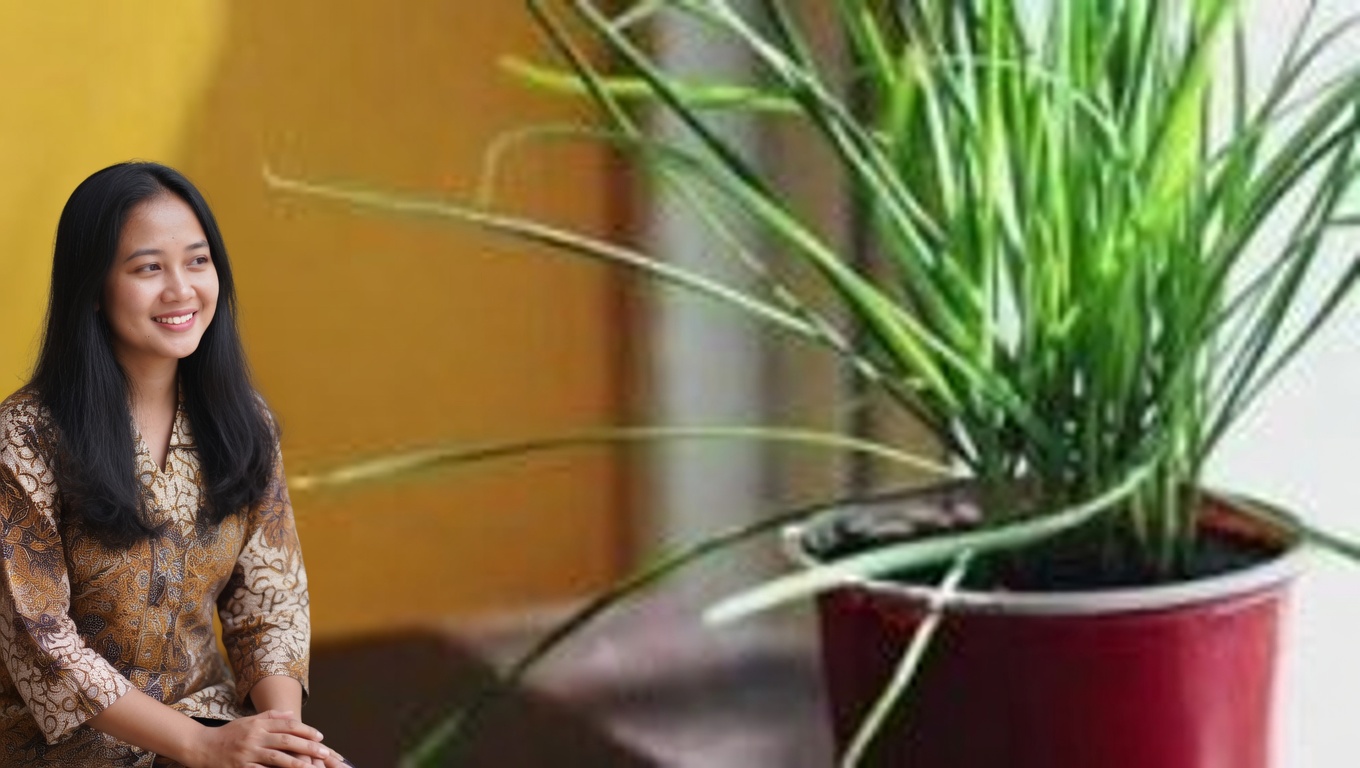 11 Manfaat Mengejutkan dari Daun Ajaib Kehidupan