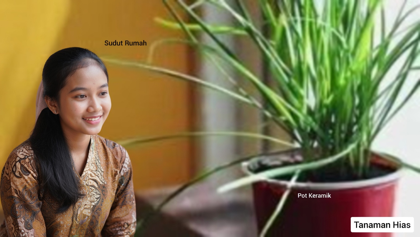 Juniper: Panduan Lengkap tentang Manfaat dan Kegunaannya