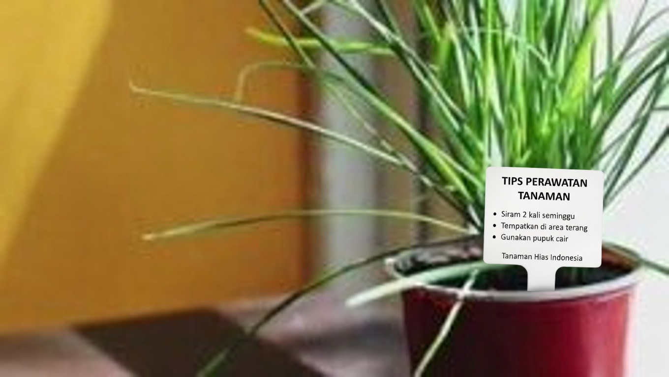 Rumput Bandel: 10 Manfaat Luar Biasa & Efek Samping