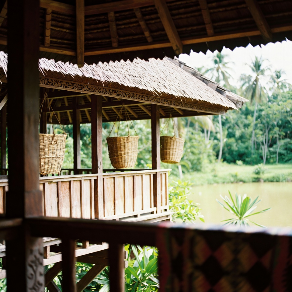 Gunakan Minyak Jarak Sebelum Tidur – Lihat Hasilnya di Pagi Hari!