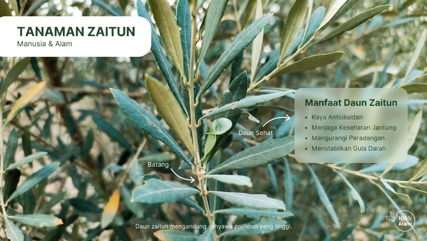 Daun Terabaikan yang Mungkin Membantu Tubuh Anda Melawan Sel Kanker