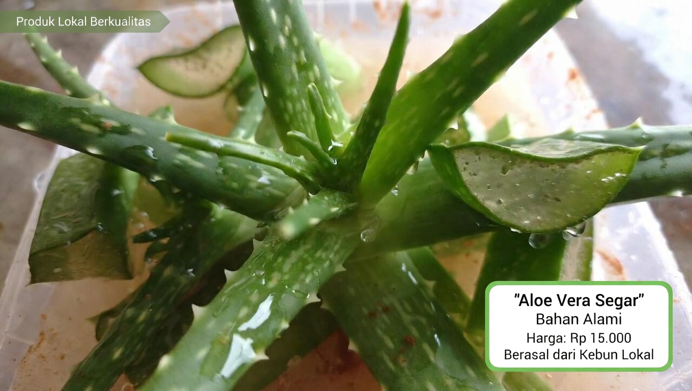 Temukan Manfaat Potensial Lidah Buaya dan Kayu Manis untuk Kesehatan Sehari-hari dan Kenyamanan Mata