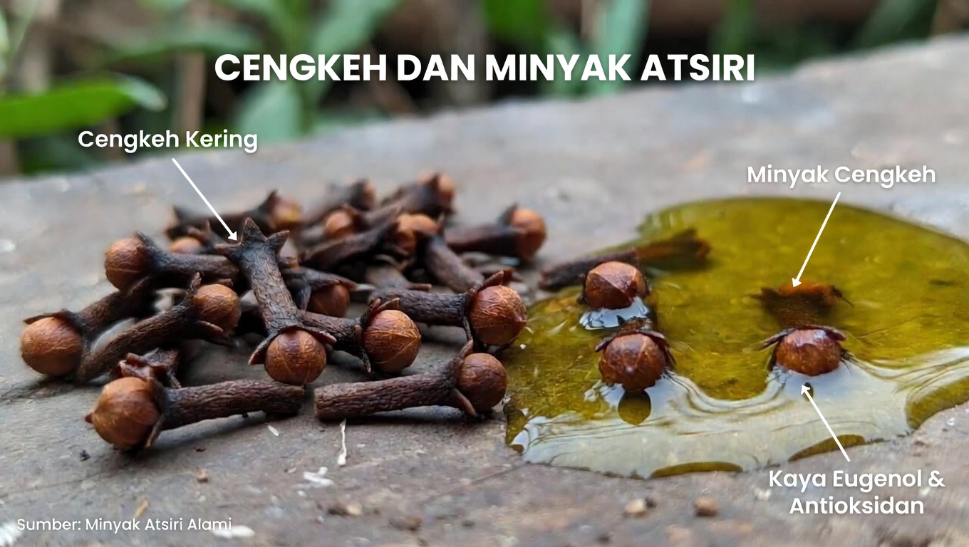 Temukan Potensi Cengkeh untuk Menjaga Rambut Tetap Tampak Muda Seiring Bertambahnya Usia