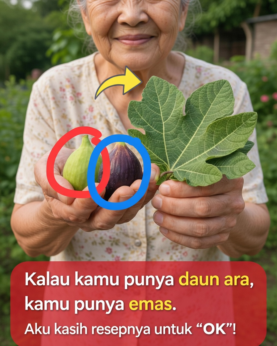 Kekuatan Tersembunyi Daun Ara: Teh Herbal Sederhana yang Mungkin Ingin Anda Coba