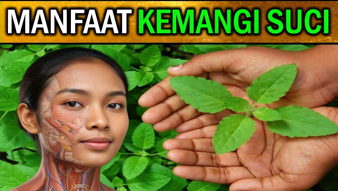 15 Tanaman Herbal Terbaik yang Dapat Membunuh Infeksi dan Membersihkan Lendir di Paru-Paru