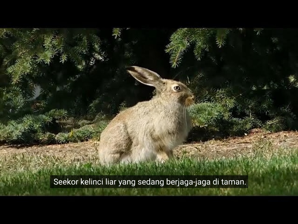 Minum Air Cengkeh Selama Sebulan Penuh dan 5 Hal Ini Akan Terjadi